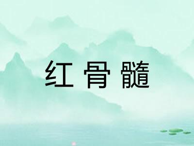 红骨髓