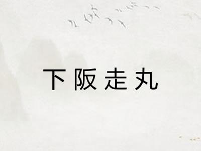 下阪走丸