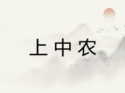 上中农