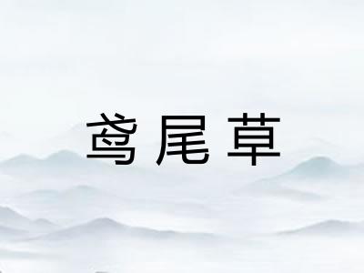 鸢尾草