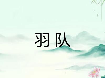 羽队