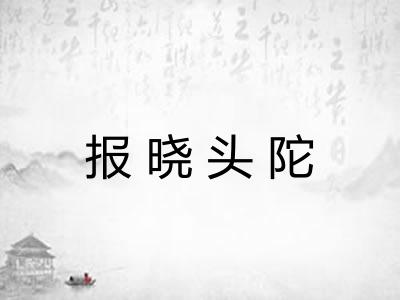 报晓头陀