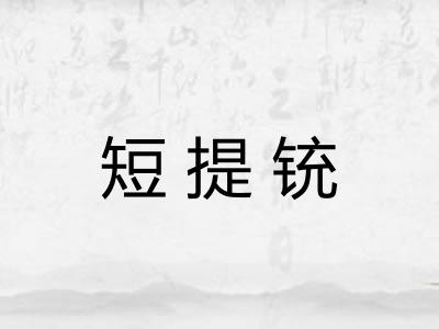 短提铳