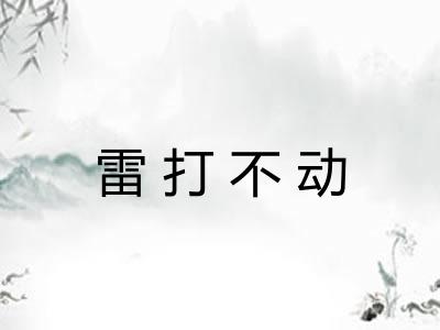 雷打不动