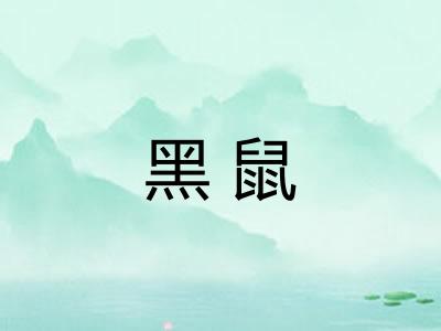 黑鼠