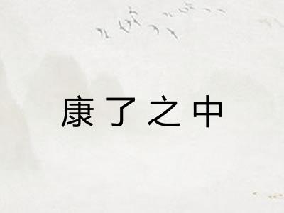 康了之中