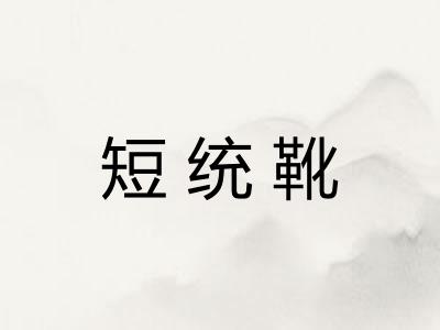 短统靴