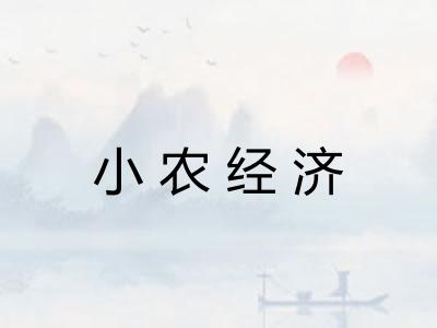 小农经济