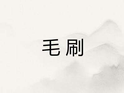 毛刷