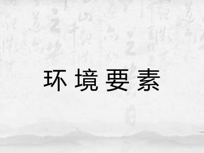 环境要素