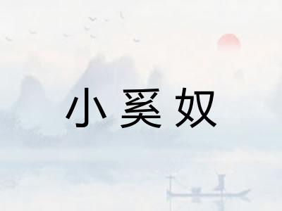 小奚奴
