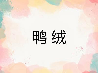 鸭绒