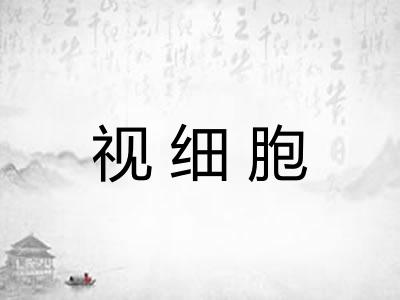 视细胞