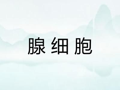 腺细胞