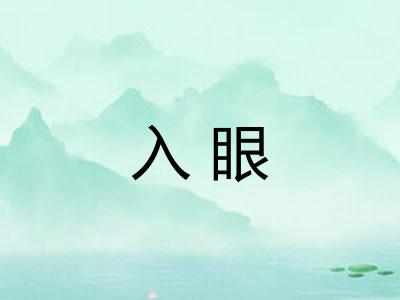 入眼