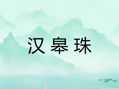 汉皋珠