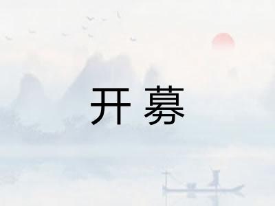 开募