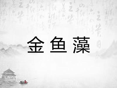 金鱼藻