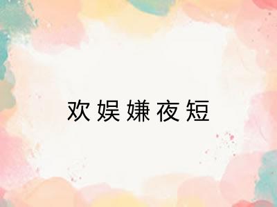 欢娱嫌夜短