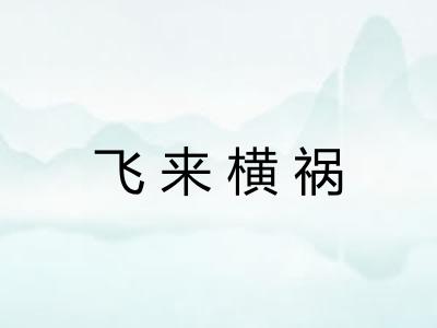 飞来横祸