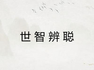 世智辨聪
