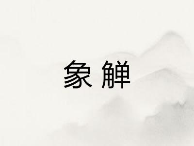 象觯