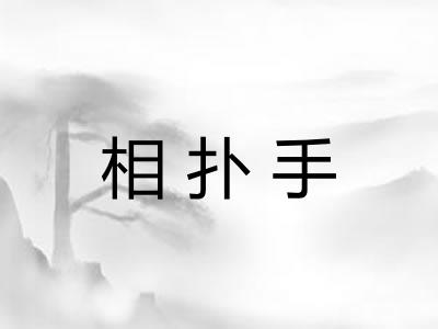 相扑手