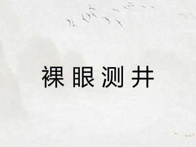 裸眼测井