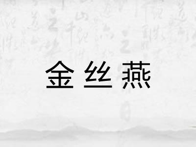 金丝燕