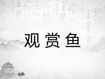观赏鱼