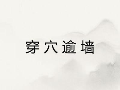 穿穴逾墙