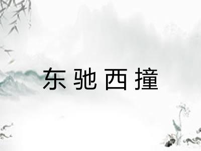 东驰西撞