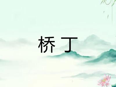 桥丁