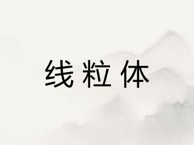 线粒体