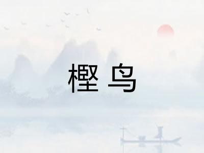 樫鸟