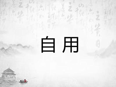 自用