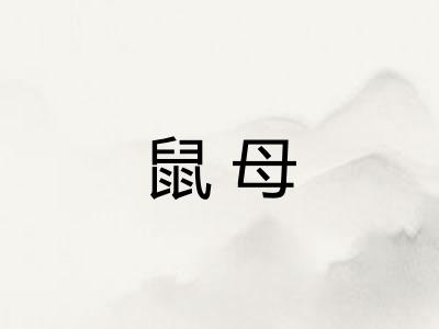 鼠母