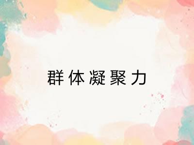 群体凝聚力