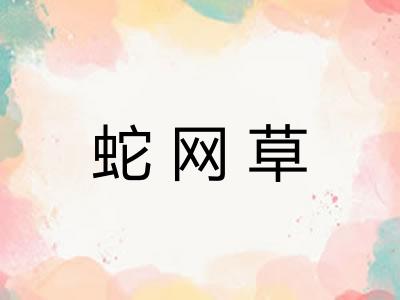 蛇网草