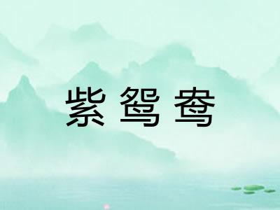 紫鸳鸯