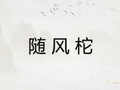 随风柁