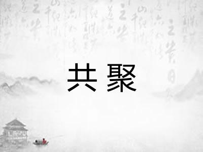 共聚