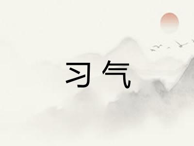 习气