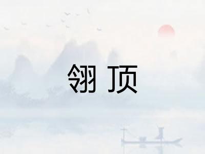 翎顶