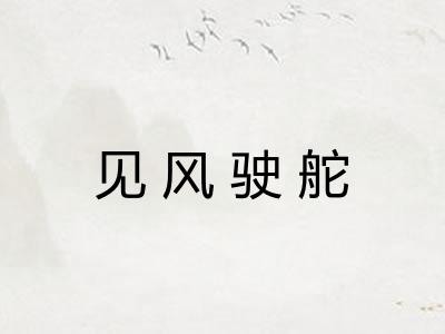 见风驶舵