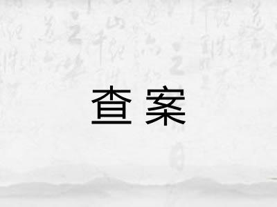 查案