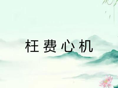 枉费心机