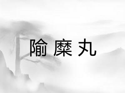 隃糜丸