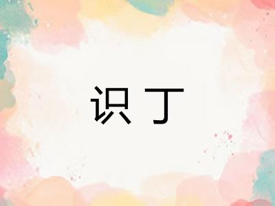 识丁