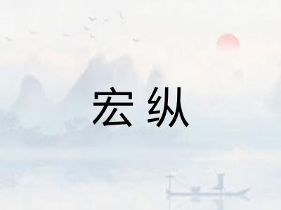 宏纵